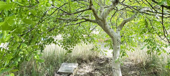  قطعة أرض في Potsdam-Mittelmark, Germany رقم 239507 22