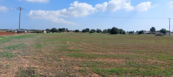 15973m² Hotel for sale in Avgorou, Ammochostos, Cyprus № 6048 4