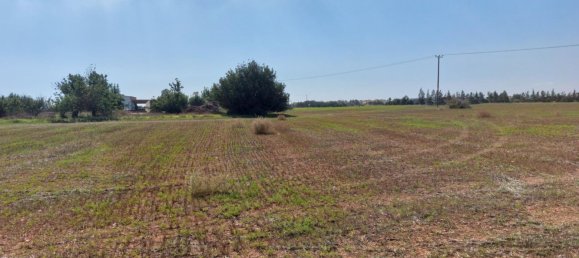 15973m² Hotel for sale in Avgorou, Ammochostos, Cyprus № 6048 7