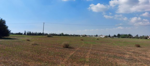 15973m² Hotel for sale in Avgorou, Ammochostos, Cyprus № 6048 8
