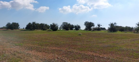 15973m² Hotel for sale in Avgorou, Ammochostos, Cyprus № 6048 6