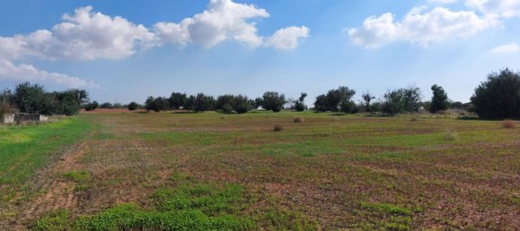 15973m² Hotel for sale in Avgorou, Ammochostos, Cyprus № 6048 5
