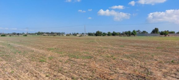 15973m² Hotel for sale in Avgorou, Ammochostos, Cyprus № 6048 2