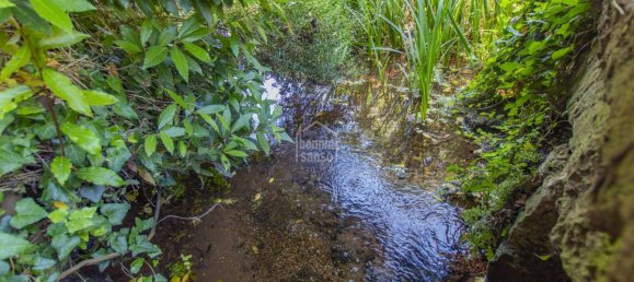  Castillos de 7 dormitorios en Ferreries, Spain No. 88296 34