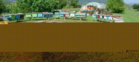 25 rooms Villa in Ameglia, Italy No. 143162 14