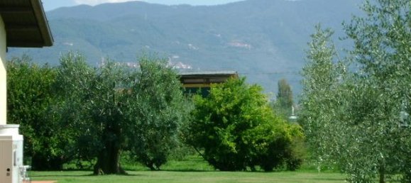 25 rooms Villa in Ameglia, Italy No. 143162 12