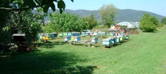 25 rooms Villa in Ameglia, Italy No. 143162 13