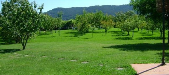 25 rooms Villa in Ameglia, Italy No. 143162 26