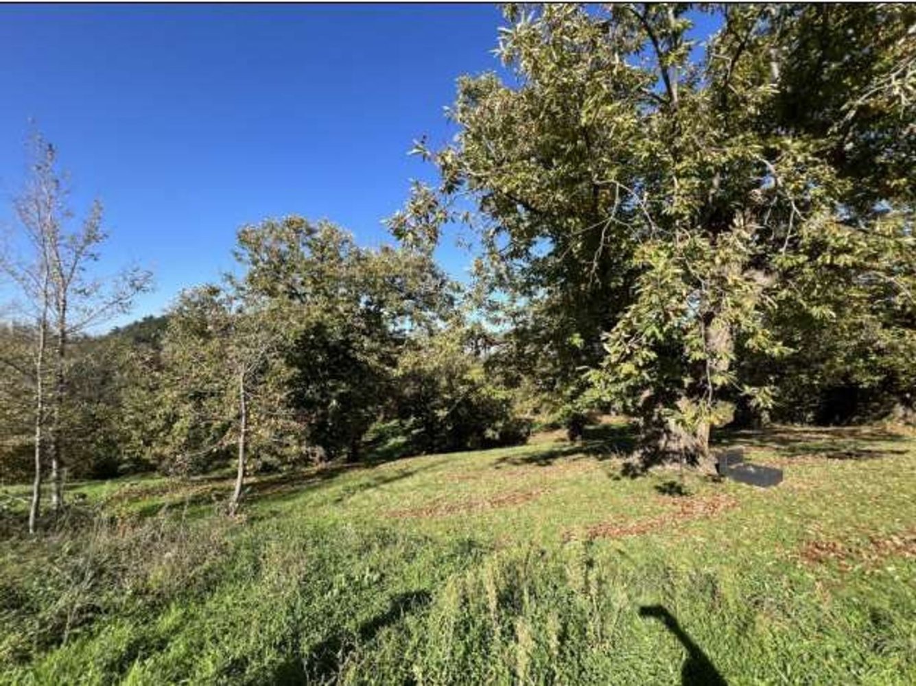 Terreno em Loiano, Italy 66172 m² N.º 281147