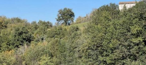 Terreno em Loiano, Italy 66172 m² N.º 281147 6