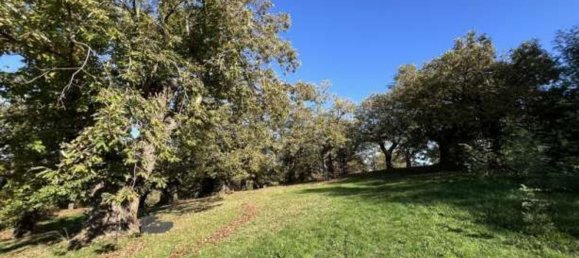 Terreno em Loiano, Italy 66172 m² N.º 281147 2