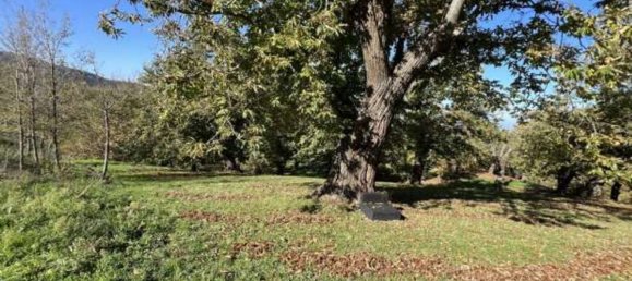 Terreno em Loiano, Italy 66172 m² N.º 281147 3