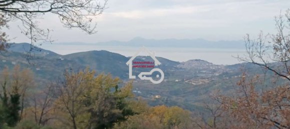 Grundstück in Laureana Cilento, Italy 15000m², Nr. 70271 3
