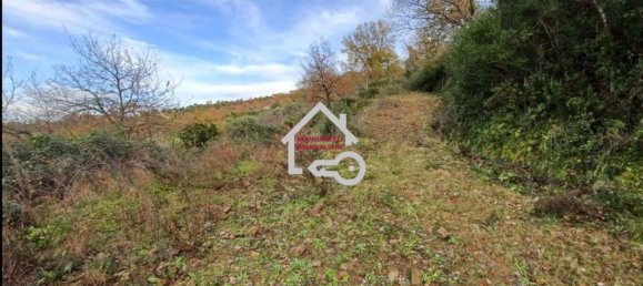 Grundstück in Laureana Cilento, Italy 15000m², Nr. 70271 6