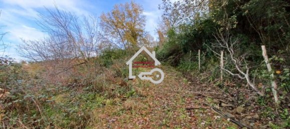 Grundstück in Laureana Cilento, Italy 15000m², Nr. 70271 5