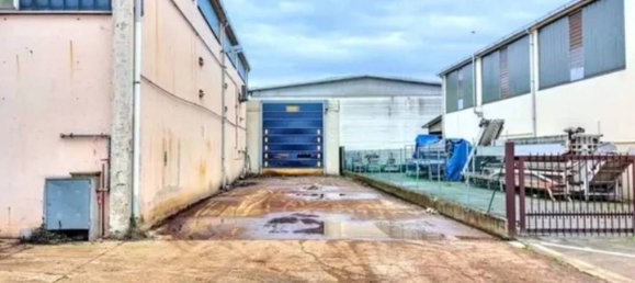 445m² Warehouse in Cotignola, Italy No. 11302 7