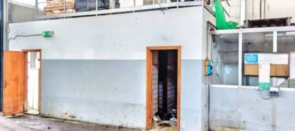 445m² Warehouse in Cotignola, Italy No. 11302 6