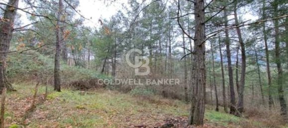 647500m² Land in Piancastagnaio, Italy No. 297914 9