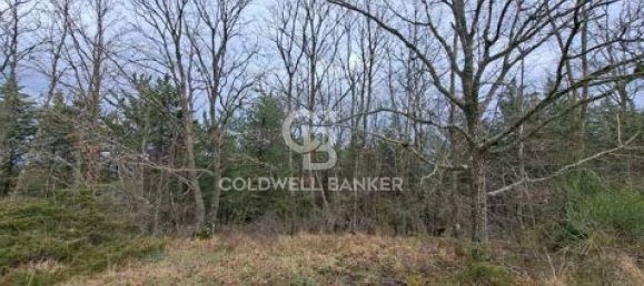 647500m² Land in Piancastagnaio, Italy No. 297914 15