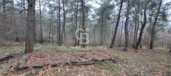 647500m² Land in Piancastagnaio, Italy No. 297914 4