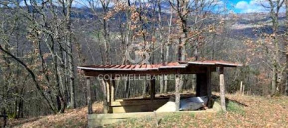 647500m² Land in Piancastagnaio, Italy No. 297914 10