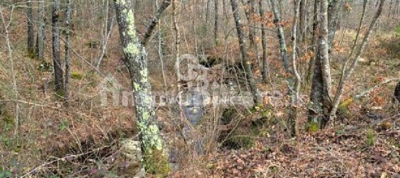 647500m² Land in Piancastagnaio, Italy No. 297914 6