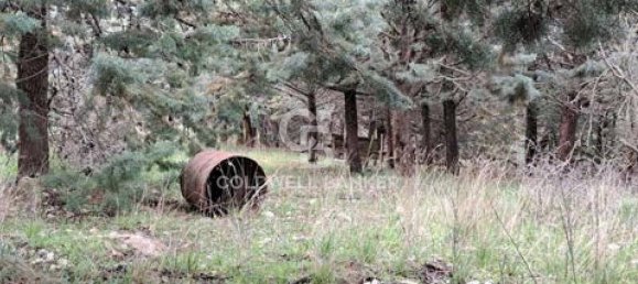 647500m² Land in Piancastagnaio, Italy No. 297914 18