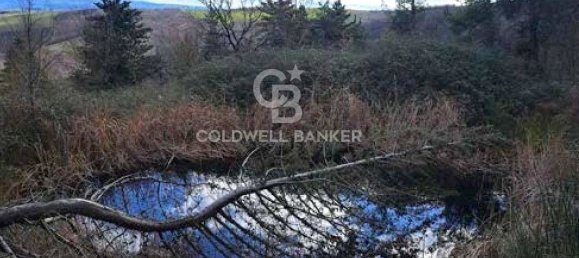 647500m² Land in Piancastagnaio, Italy No. 297914 5