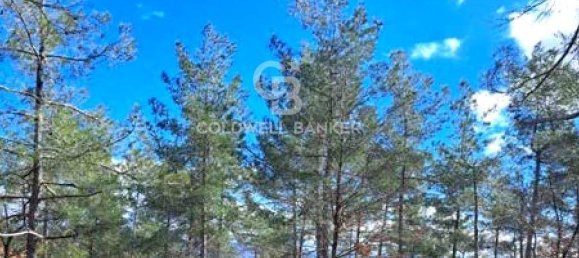 647500m² Land in Piancastagnaio, Italy No. 297914 2