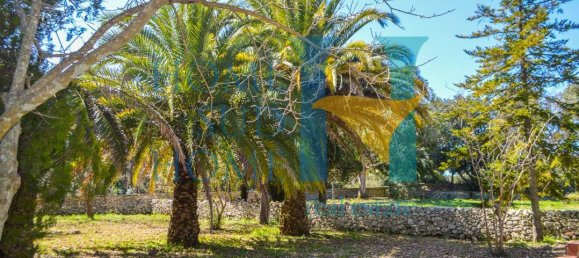 5 rooms Villa in Noto, Italy No. 122867 4