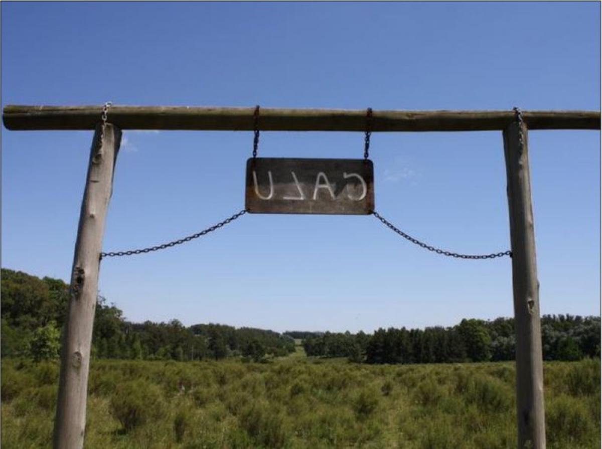 Ferme à Maldonado, Uruguay No. 15956
