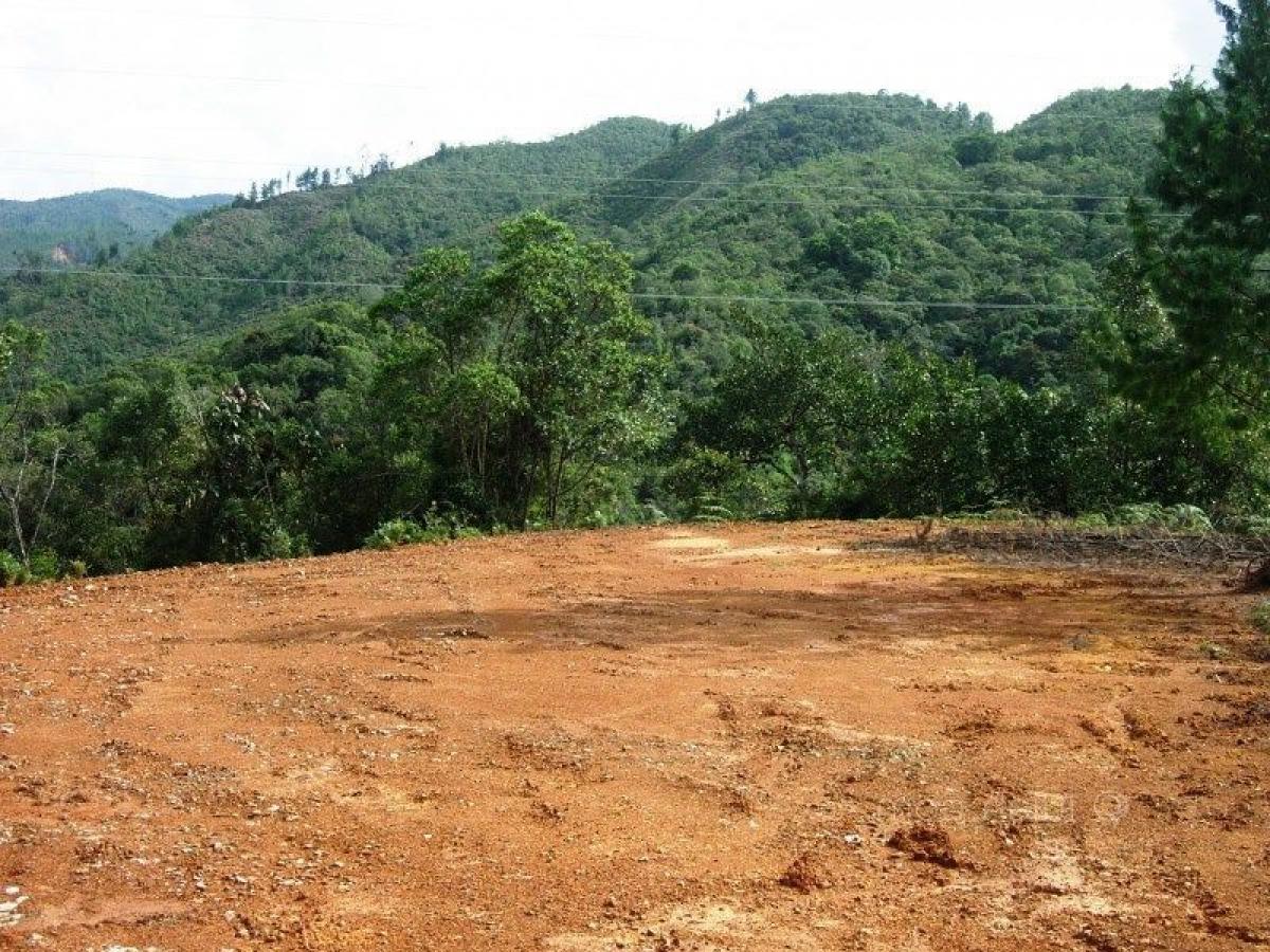Terreno en Antioquia, Colombia No. 384