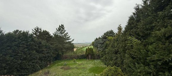 6-salle Maison à Ladendorf, Austria No. 195891 9