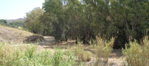 4 bedrooms Villa in Mijas, Spain No. 43603 28