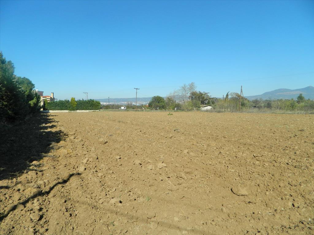 4500m² Hotel in Thermi, Greece No. 8087