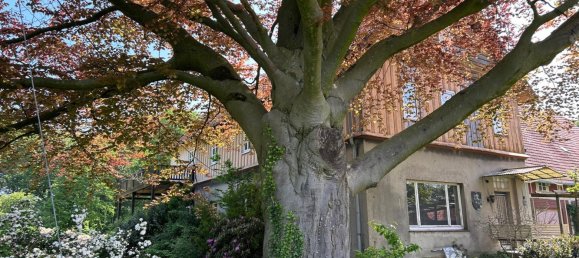 4 غرف نوم مزرعة في Gutersloh, Germany رقم 138456 2