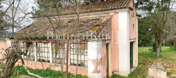 20 bedrooms House in Abrantes, Portugal No. 29953 17