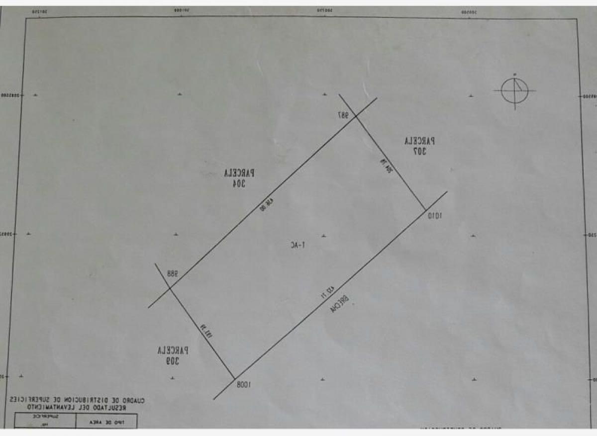 Studio in Veracruz, Mexico No. 209809