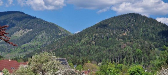 Casa de 6 divisões em Neunkirchen, Austria N.º 251317 19