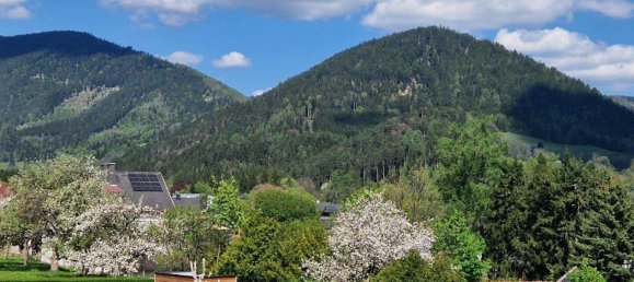 Casa de 6 divisões em Neunkirchen, Austria N.º 251317 23