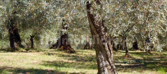 7636m² Land in Mosciano Sant'Angelo, Italy No. 256395 2