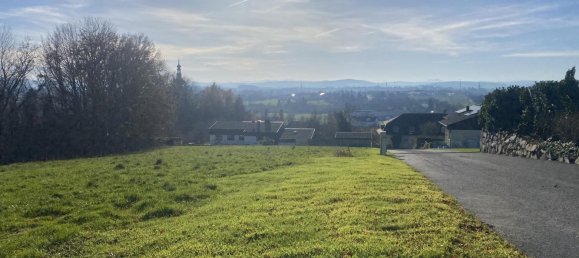 Grundstück in Tumeltsham, Austria, Nr. 24705 4