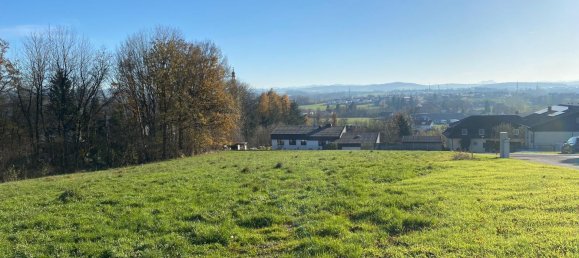 Grundstück in Tumeltsham, Austria, Nr. 24705 2