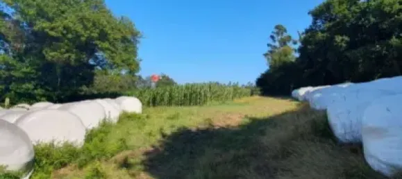 4 bedrooms House in A Coruna, Spain No. 183790 16