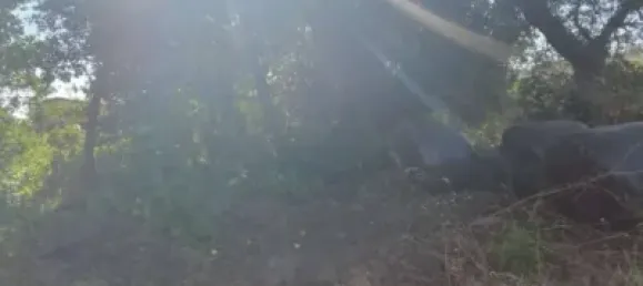 4 bedrooms House in A Coruna, Spain No. 183790 17