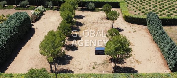  Land in Chinchon, Spain No. 184292 7