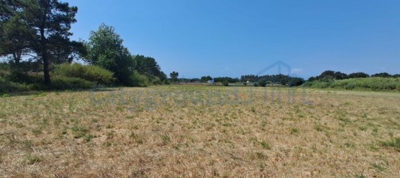 Grundstück in Caldas da Rainha, Portugal 16947m², Nr. 307224 2