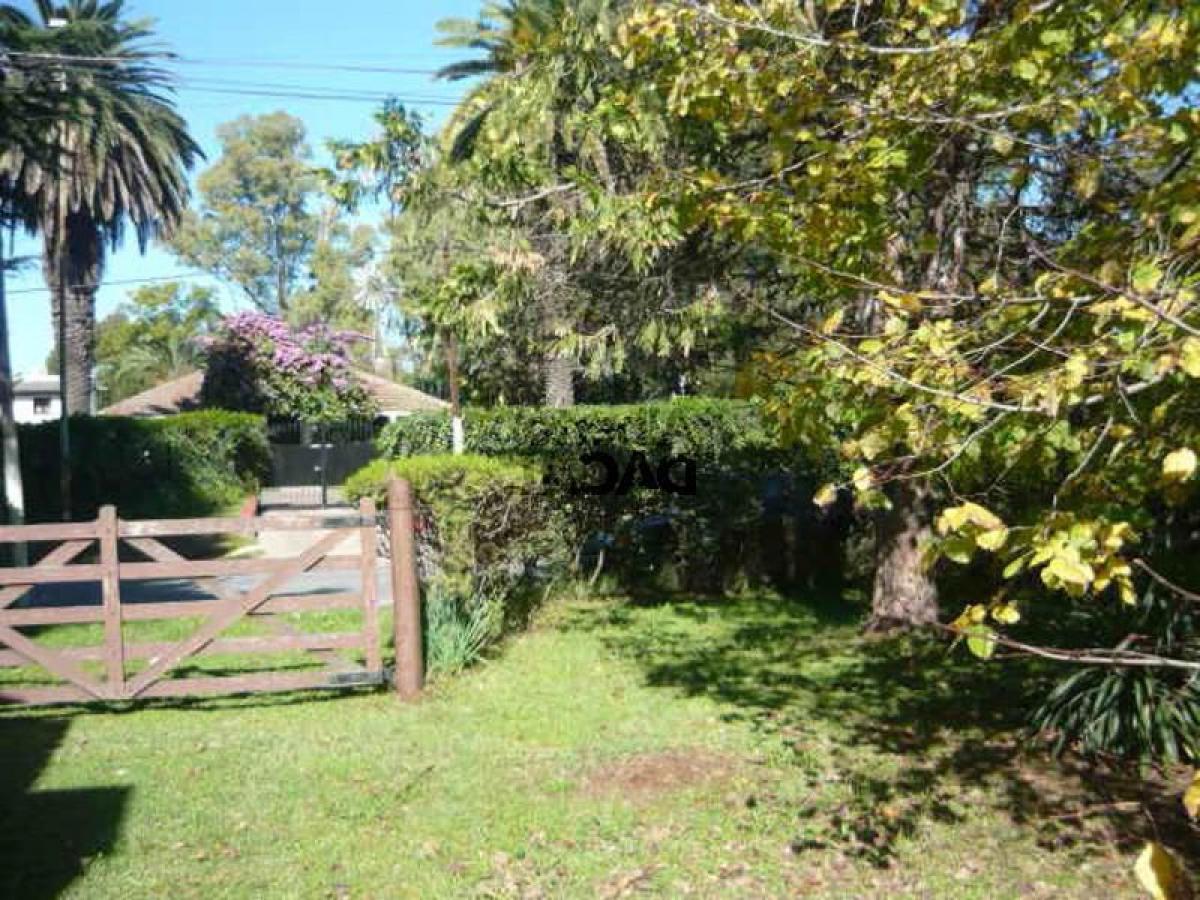  قطعة أرض في Campo Creado, Argentina رقم 47511