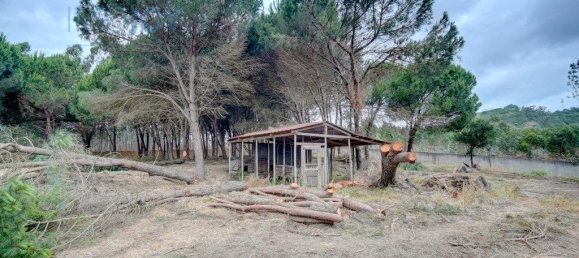 3 Schlafzimmer Haus in Alcoentre, Portugal, Nr. 304097 39