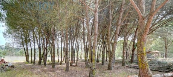 3 Schlafzimmer Haus in Alcoentre, Portugal, Nr. 304097 48